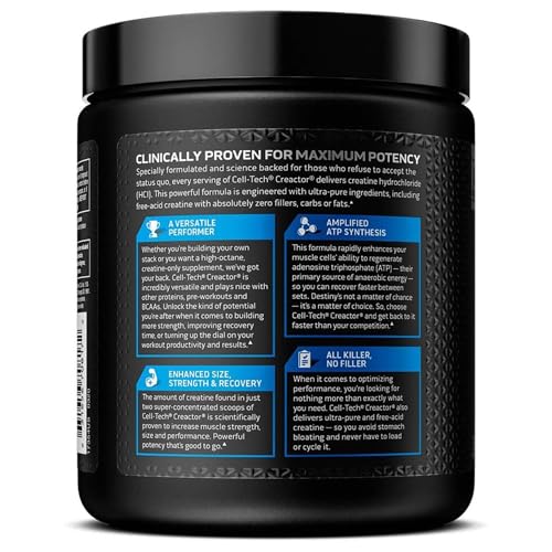 Creatine Monohydrate Powder MuscleTech Platinum Pure Micronized Muscle Recovery + Builder for Men & Women Workout Supplements Unflavored (80 Servings)